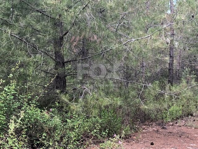 Residential Land in Kouzias, Moniatis