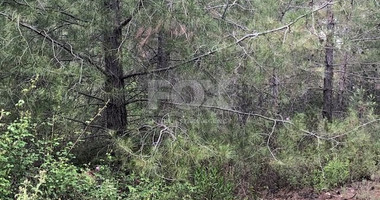 Residential Land in Kouzias, Moniatis