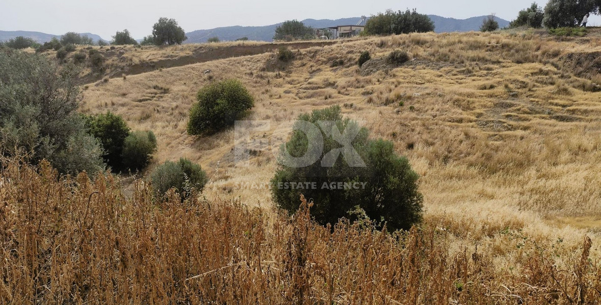 Nice residential land in Pareklisia area