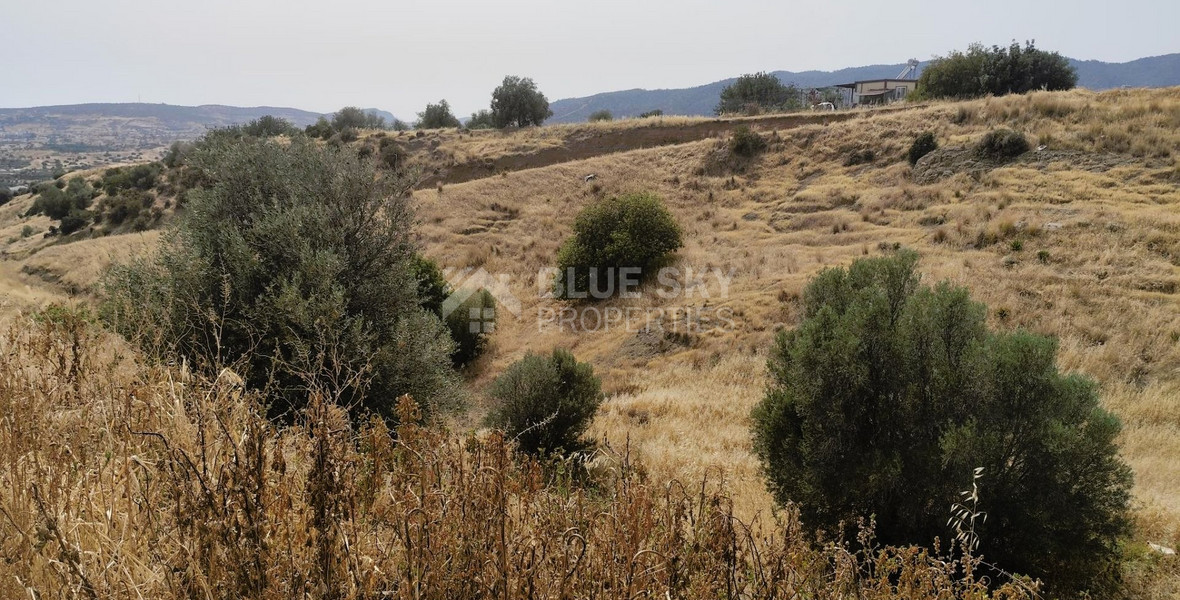 Nice residential land in Pareklisia area