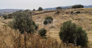 Nice residential land in Pareklisia area