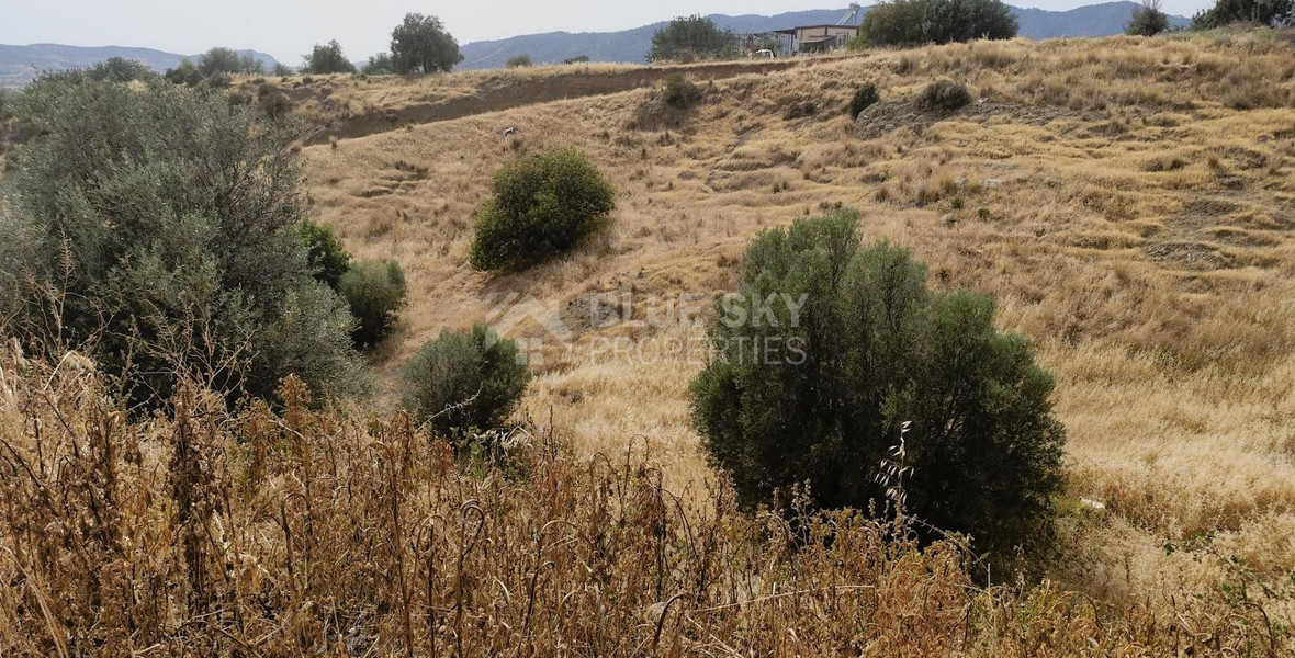 Nice residential land in Pareklisia area