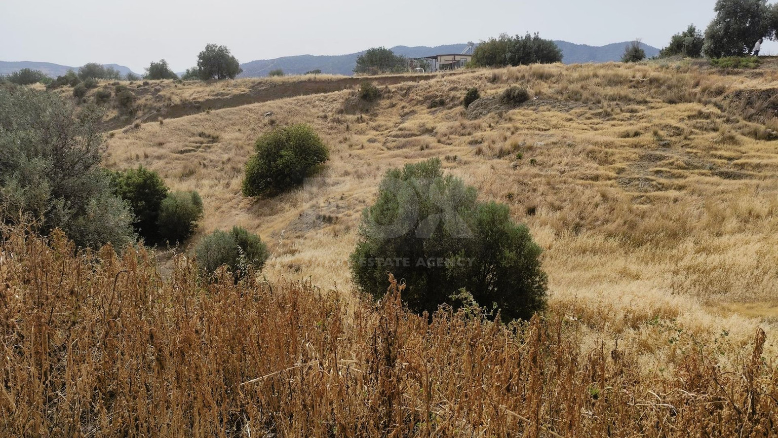 Nice residential land in Pareklisia area