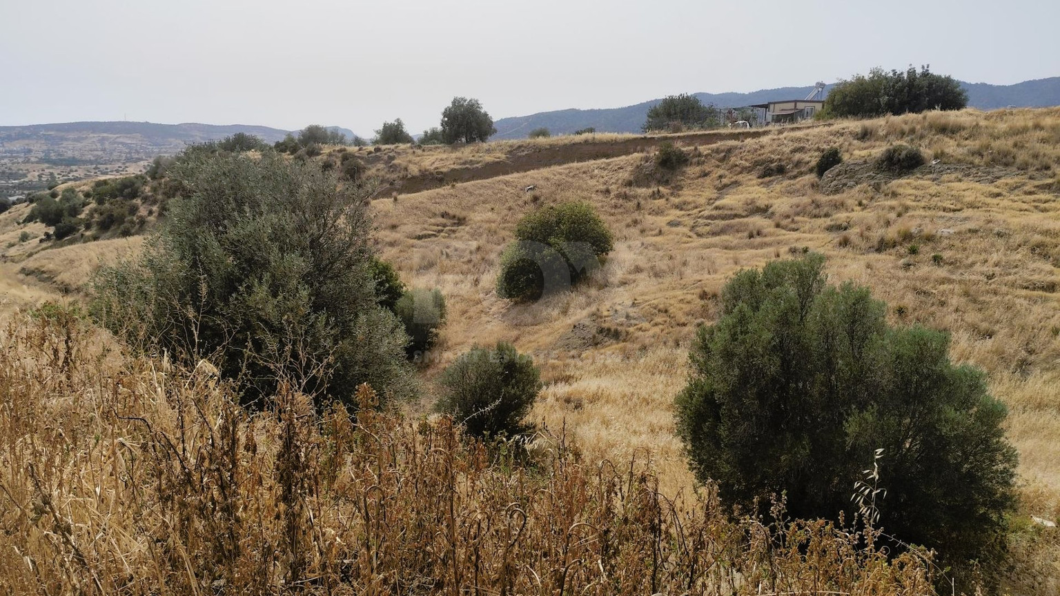 Nice residential land in Pareklisia area