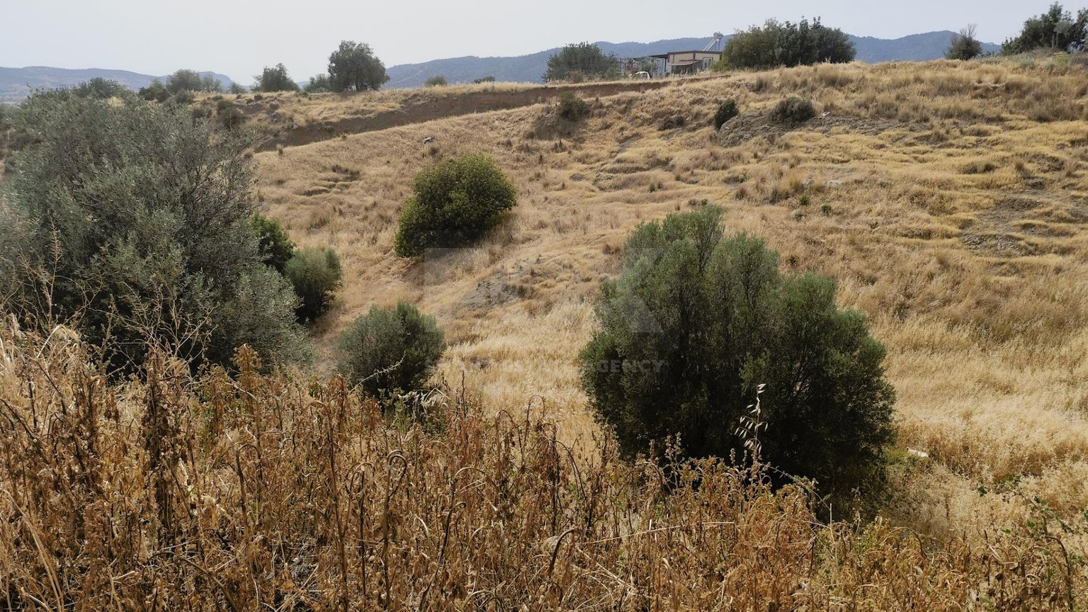 Nice residential land in Pareklisia area