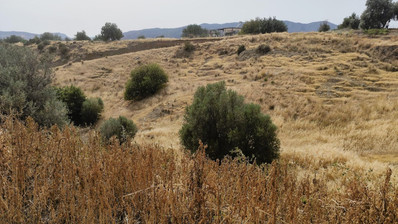 Nice residential land in Pareklisia area