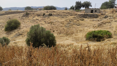 Nice residential land in Pareklisia area