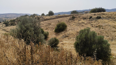 Nice residential land in Pareklisia area