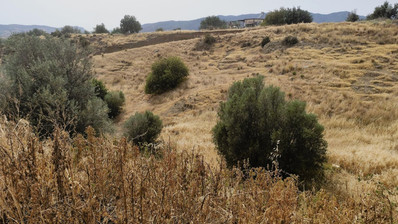 Nice residential land in Pareklisia area