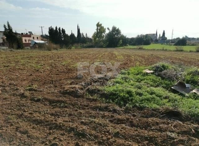 Agriculture land for Sale in Potamitissa village, Limassol