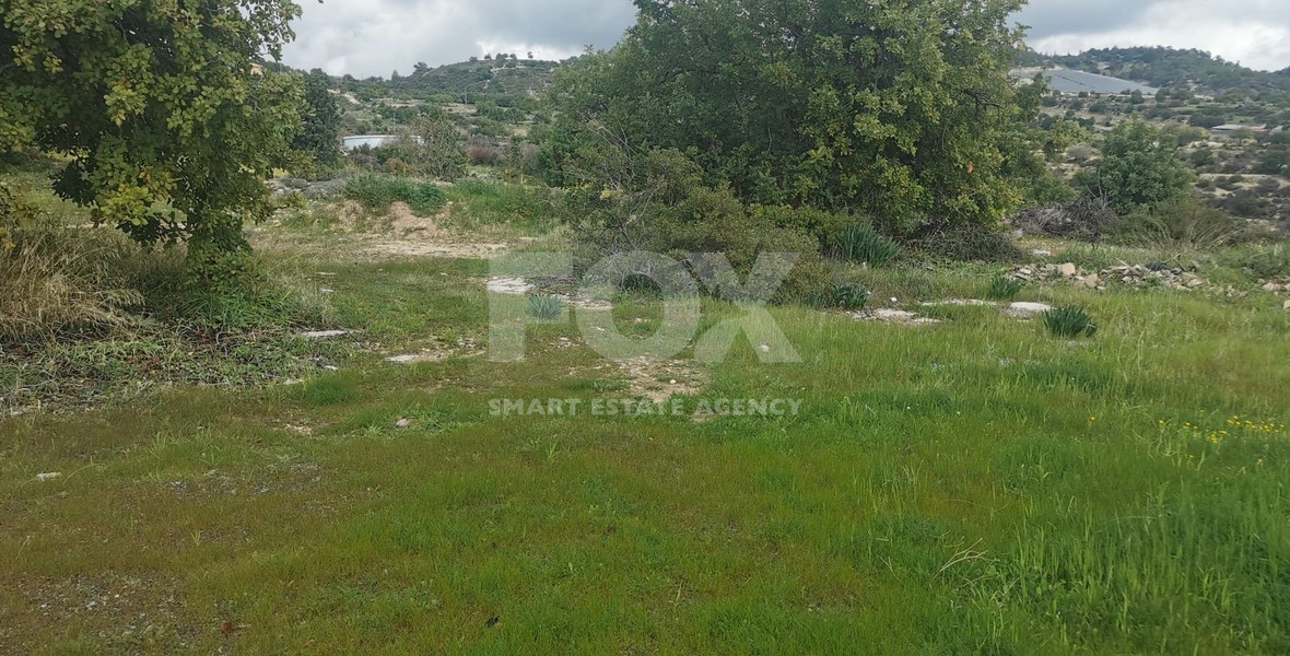 Agriculture land in Agridia village, Limassol