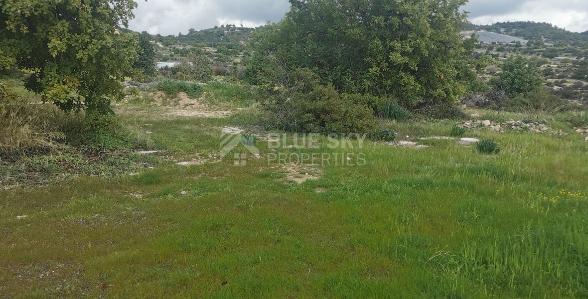 Agriculture land in Agridia village, Limassol