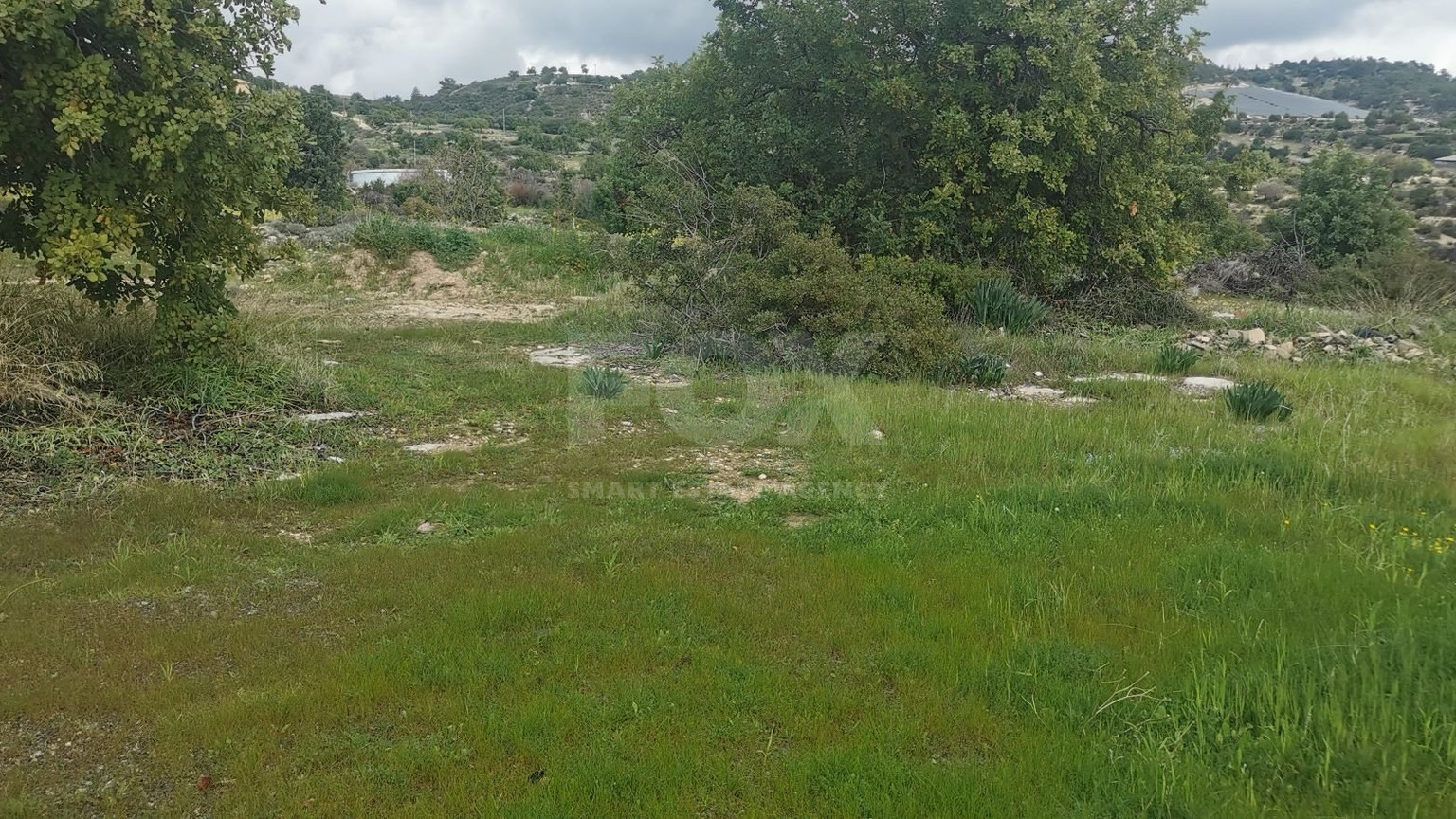 Agriculture land in Agridia village, Limassol