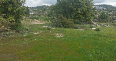 Agriculture land in Agridia village, Limassol