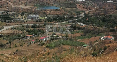 Agricultural land for sale in Melini village, Larnaca