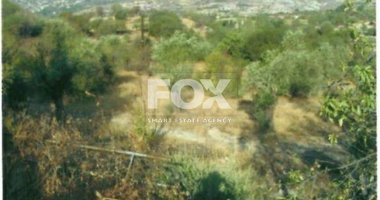 Plot For Sale In Laneia Limassol Cyprus