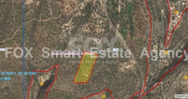 Land For Sale In Prastio Avdimou Limassol Cyprus