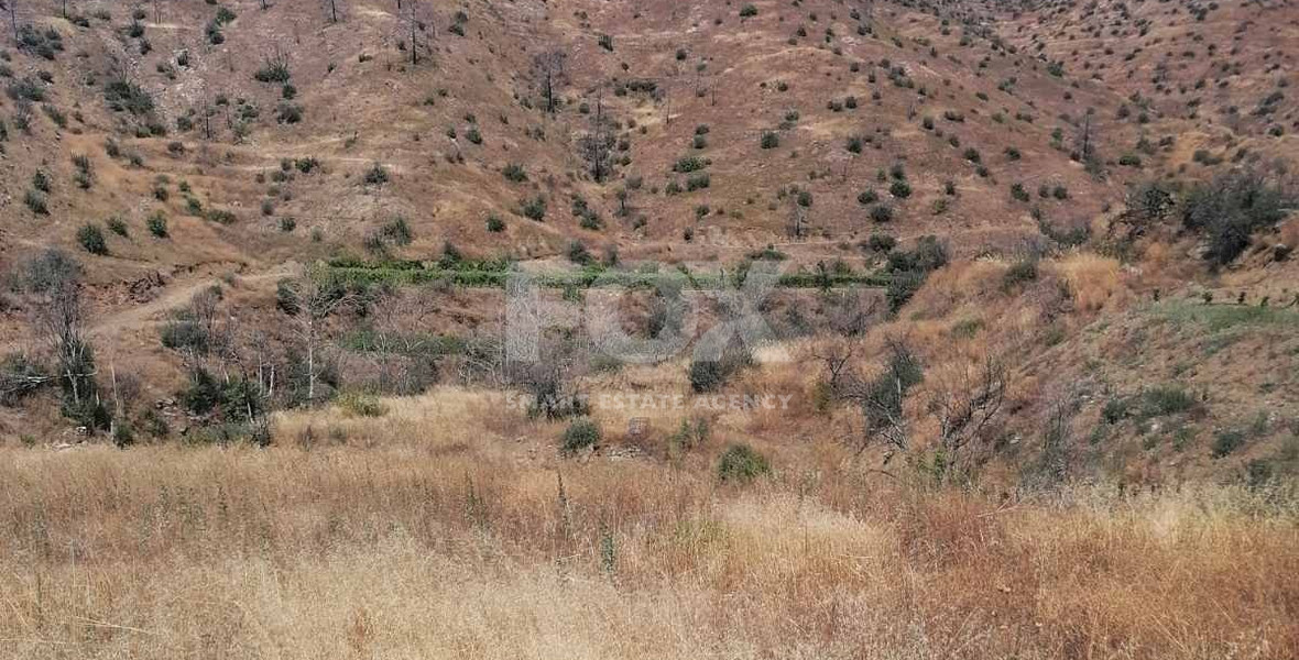 Agricultural land for Sale in Melini village, Larnaca