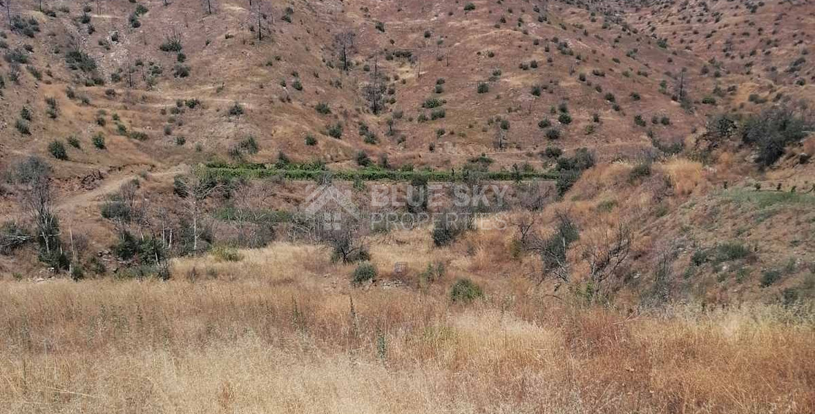 Agricultural land for Sale in Melini village, Larnaca