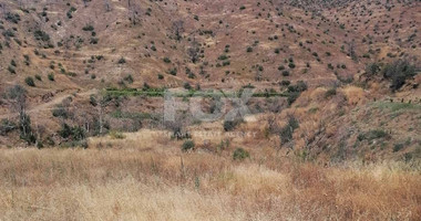 Agricultural land for Sale in Melini village, Larnaca