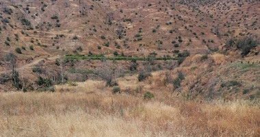 Agricultural land for Sale in Melini village, Larnaca