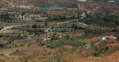 Agricultural land for sale in Melini, Larnaca