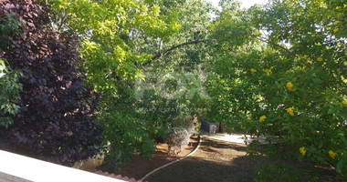 Five Bedroom House For Rent In Souni