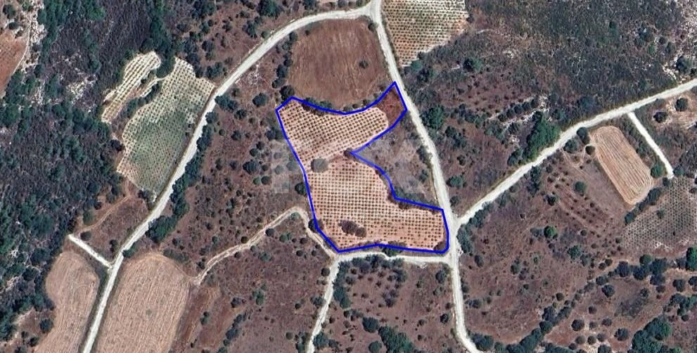 Agricultural land in Arminou