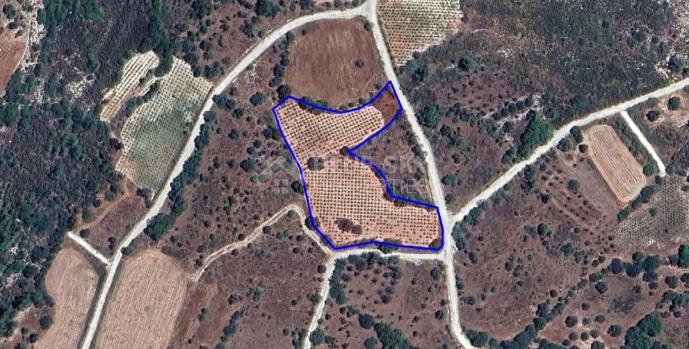 Agricultural land in Arminou