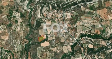 Agricultural Land for sale in Laneia
