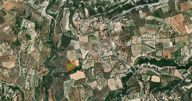 Agricultural Land for sale in Laneia