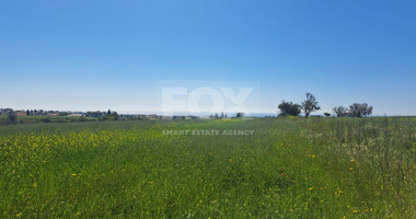 Residential Field in Anarita