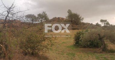 Land for Sale in Tochni Village, Larnaca