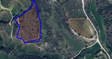 Agricultural land in Kato Akourdaleia