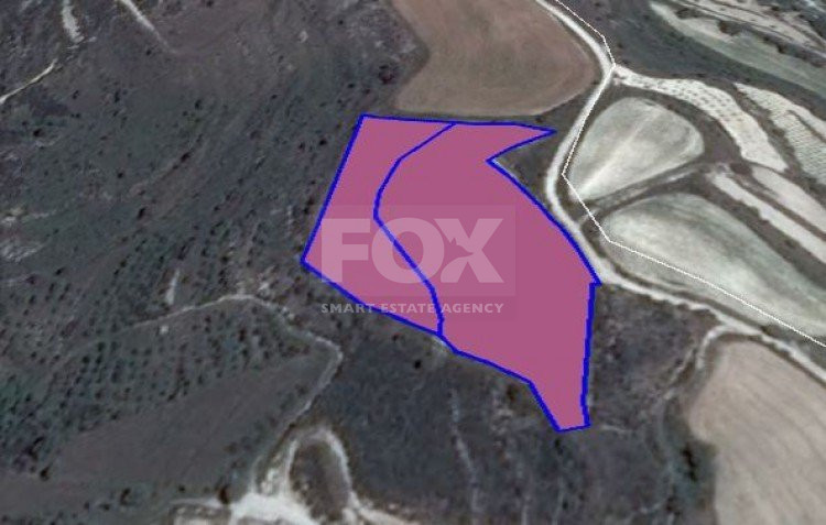 Land For Sale In Tsada Paphos Cyprus