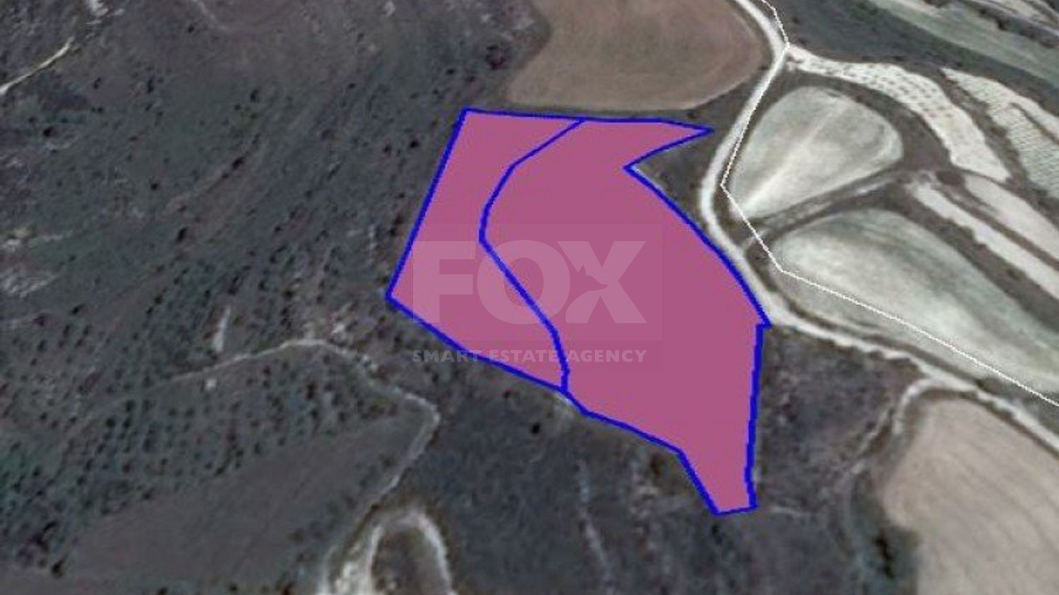 Land For Sale In Tsada Paphos Cyprus