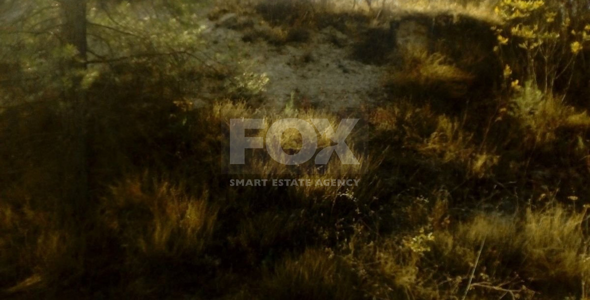 RESIDENCIAL LAND IN PERA PEDI