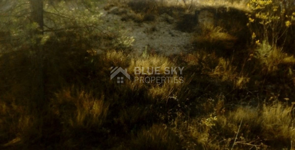 Large Field for Sale in Pera Pedi