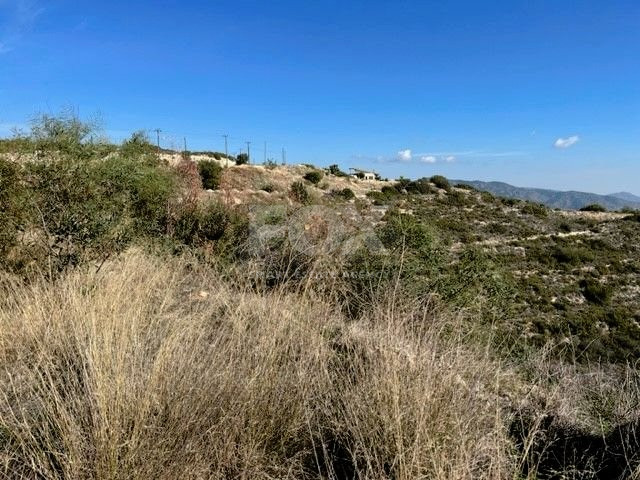 Agricultural Land in Mathikoloni