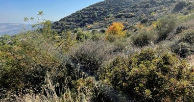 Agricultural Land In Mathikoloni