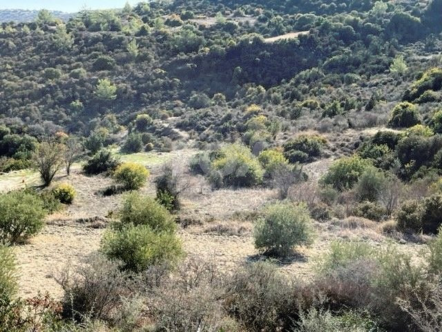 Agricultural Land in Mathikoloni