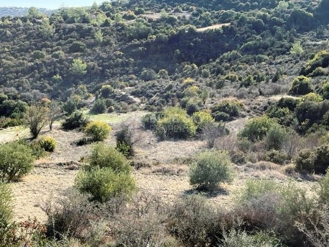 Agricultural Land in Mathikoloni