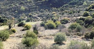 Agricultural Land in Mathikoloni