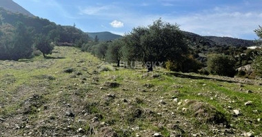 Agricultural Land in Mathikoloni