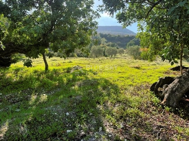 Agricultural Land in Mathikoloni