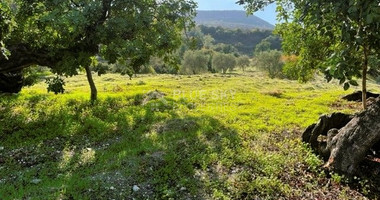 Agricultural Land in Mathikoloni