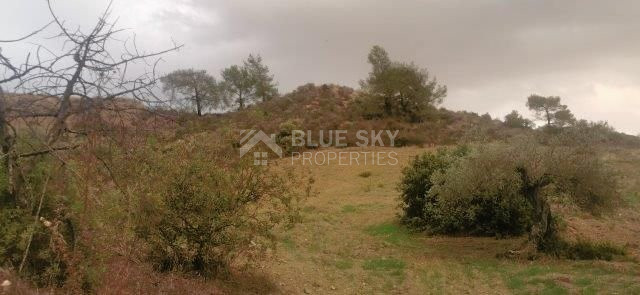 Agricultural land 18674sqm in Asgata village, Limassol