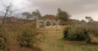 Agricultural land 18674sqm in Asgata village, Limassol