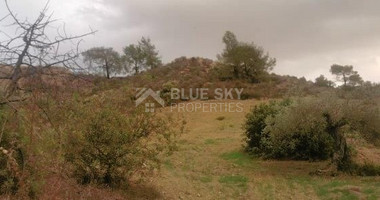 Agricultural land 18674sqm in Asgata village, Limassol