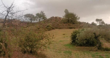 Agricultural land 18674sqm in Asgata village, Limassol